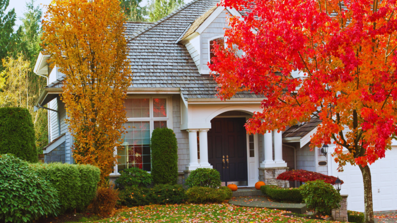 Fall Home